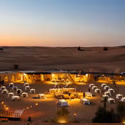 Royal Desert Glamping & Falconry